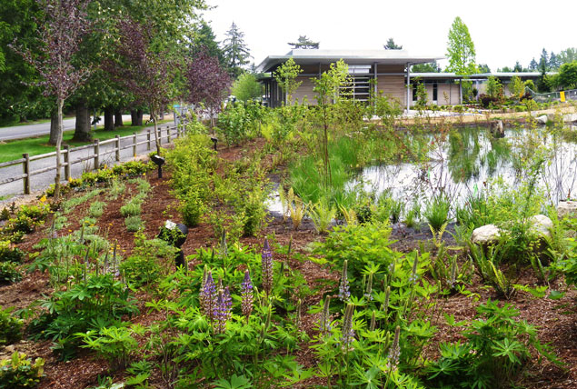 Bellevue-Botanical-Garden-wetland